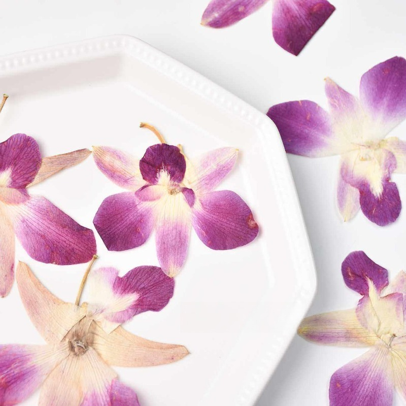 4pcs,Real Pressed Butterfly Or - đánh giá và giá Resin Art Baby