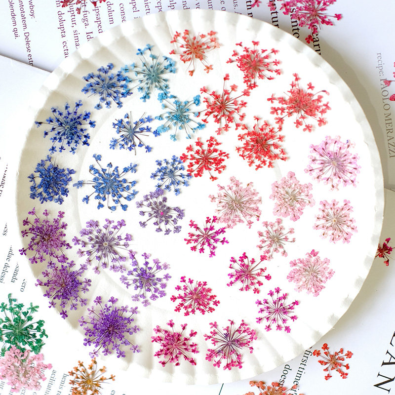 24pcs, 2-2.5cm, Nature Dyed Mi - đánh giá và giá Resin Art Baby