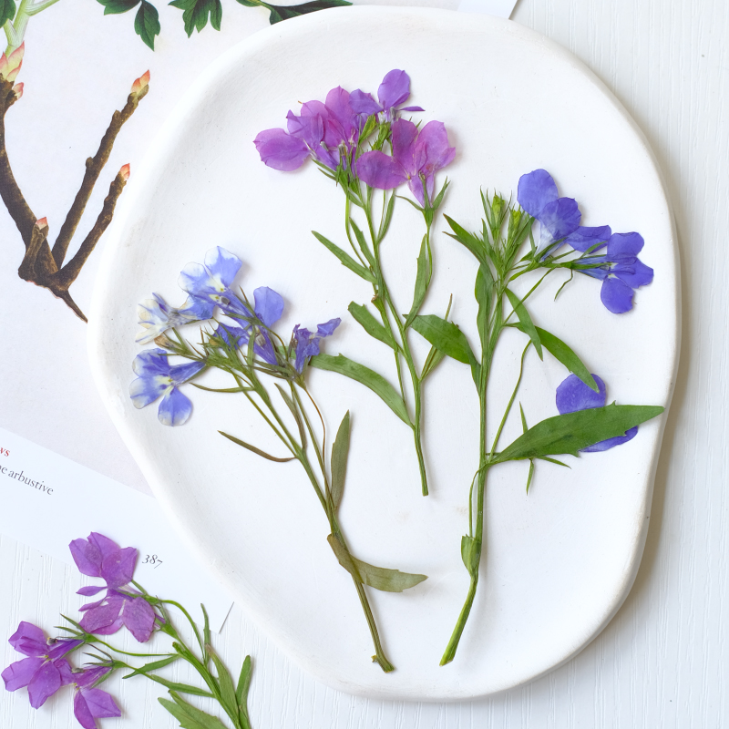 6pcs/8-13cm,nature Lobelia Eri - đánh giá và giá Resin Art Baby