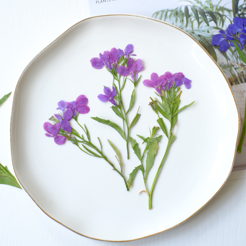 6pcs/8-13cm,nature Lobelia Eri - đánh giá và giá Resin Art Baby