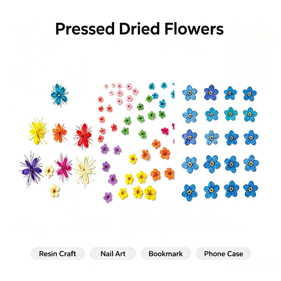 60pcs Mini Pressed Dried Flowe - đánh giá và giá Resin Art Case